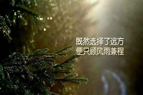 云南函授學費