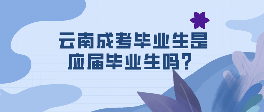 云南成考畢業生是應屆畢業生嗎？